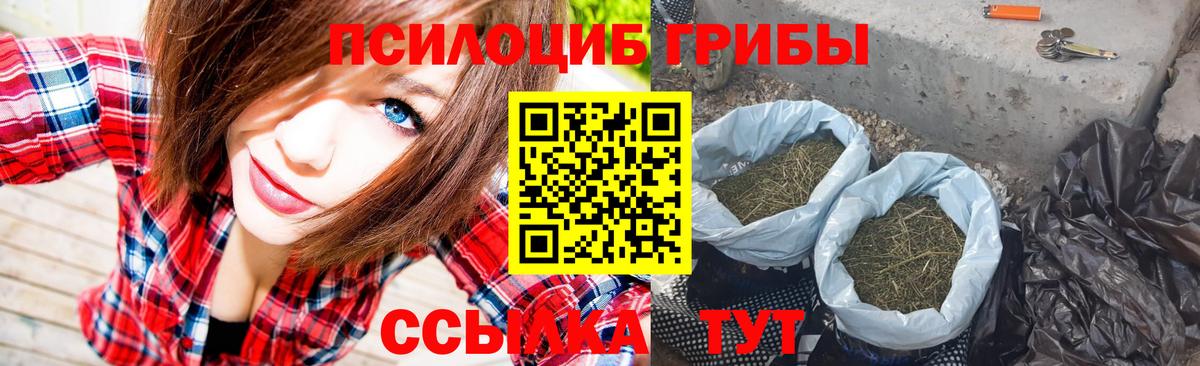 Псилоцибиновые грибы ЛСД Тулун