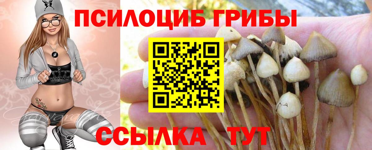 Псилоцибиновые грибы Cubensis  Псилоцибиновые грибы Psilocybine cubensis  Вход с VPN  Тулун 